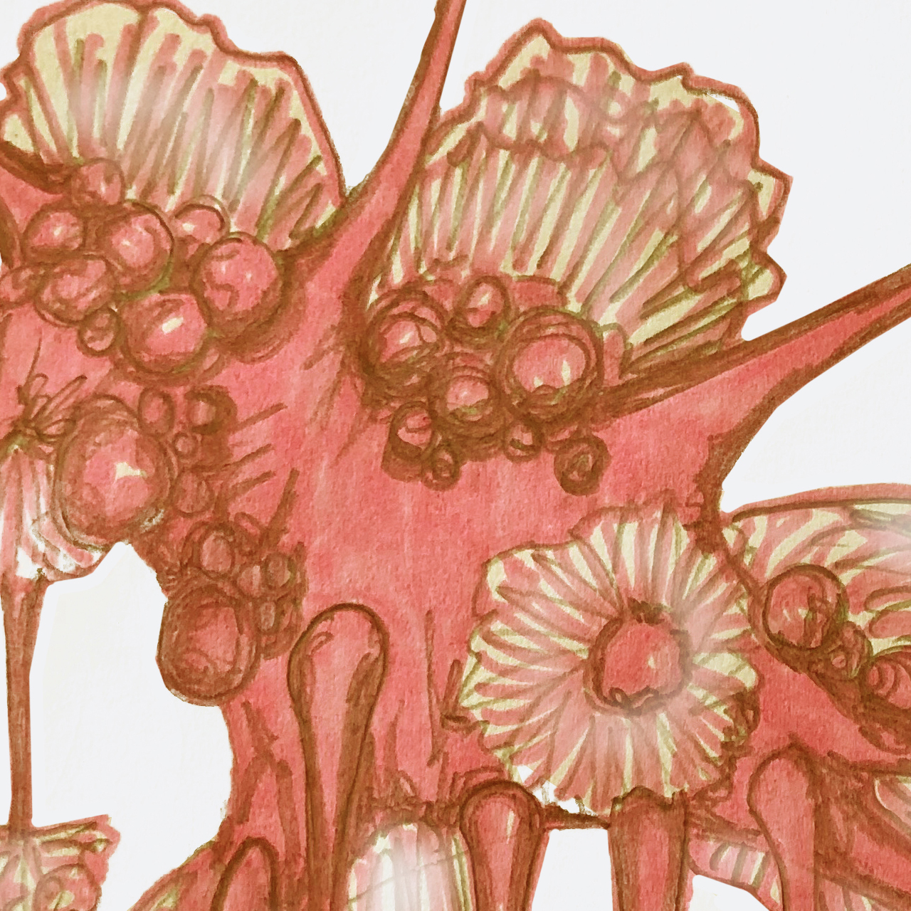 #ericagrayartist #2017strandephemera #strandephemera #strandephemeratownsville #sculptureartist #sculpture #3dartist #sculpturedart #sculptural #contemporary #sculpturedesign #contemporaryartist #coralart #sealife #seacreatures